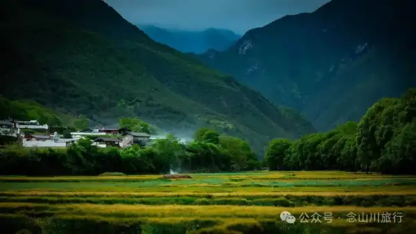 迪慶維西塔城鎮沖可村的麥浪與松濤,是一首寫不盡的詩歌