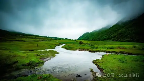 大理蒼山大花甸壩:雨中徒步30公里,走進這片最美的高山草甸