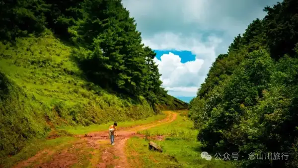 Weimi Line – Mountain Scenery of Shamaoshan: Windmills Are the Clock Hands of Clouds and Mist, Meadows Are the Soft Lining of the Mountains