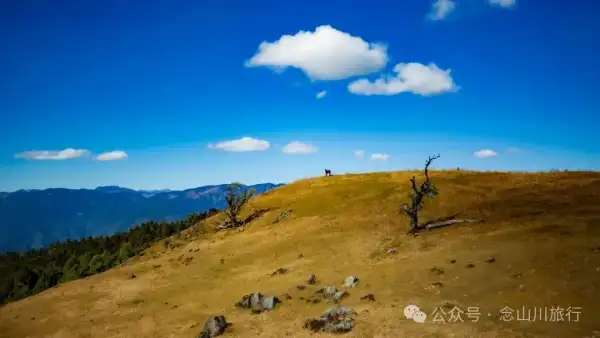 Yunnan Hiking Paradise|Let Body and Soul Soar Together at the Summit Pasture of the Yunling Mountains