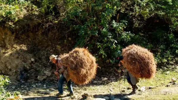 一根竹棍,一雙綠色膠鞋,70歲的他們就這樣去爬山了