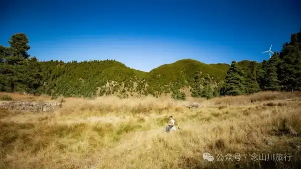 巍山冬季牧场